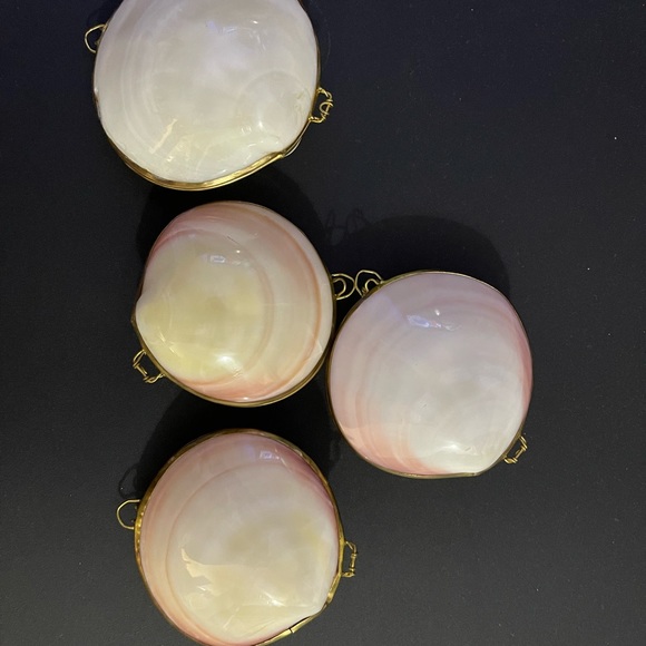 Seashell Mini Container 🐚 - Picture 6 of 6